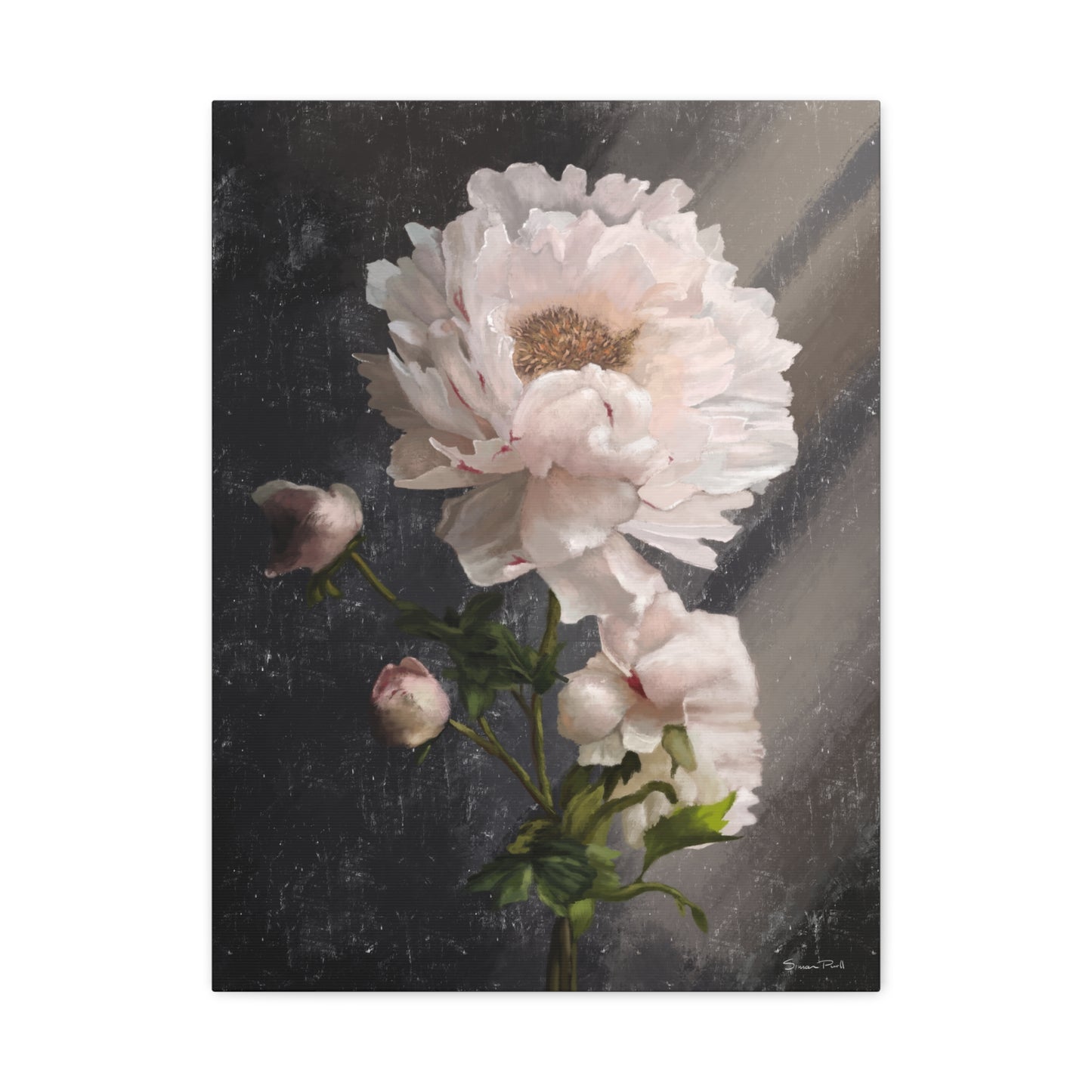 White Peony Canvas Print, Gallery Wrapped Giclee, Ready to Hang, Wall Art