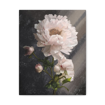 White Peony Canvas Print, Gallery Wrapped Giclee, Ready to Hang, Wall Art