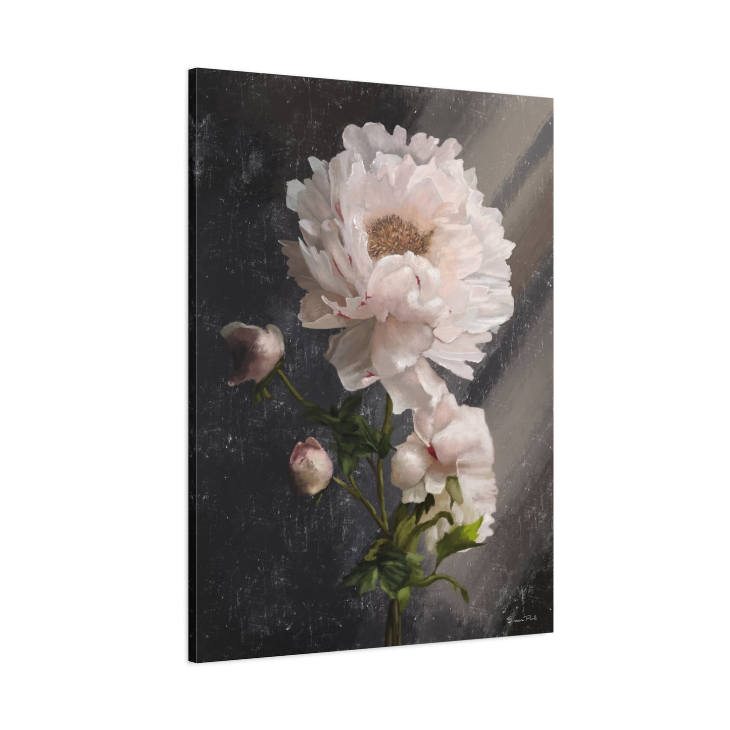 White Peony Canvas Print, Gallery Wrapped Giclee, Ready to Hang, Wall Art