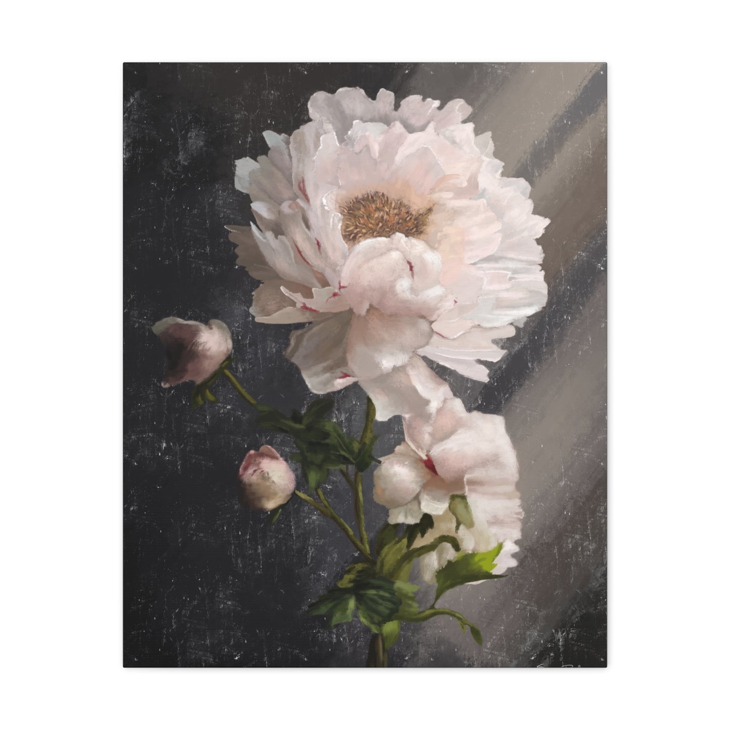 White Peony Canvas Print, Gallery Wrapped Giclee, Ready to Hang, Wall Art