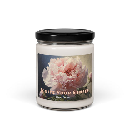 Scented Soy Candle, 9oz - 9 scents