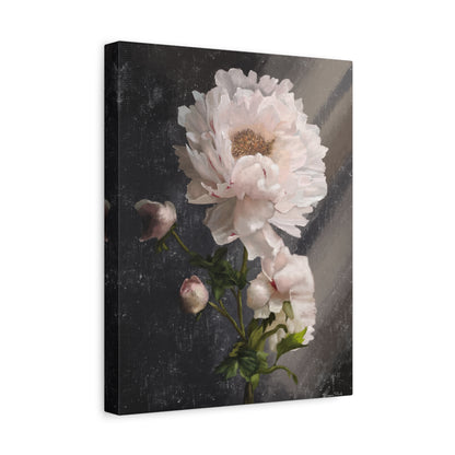 White Peony Canvas Print, Gallery Wrapped Giclee, Ready to Hang, Wall Art