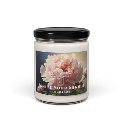 Scented Soy Candle, 9oz - 9 scents