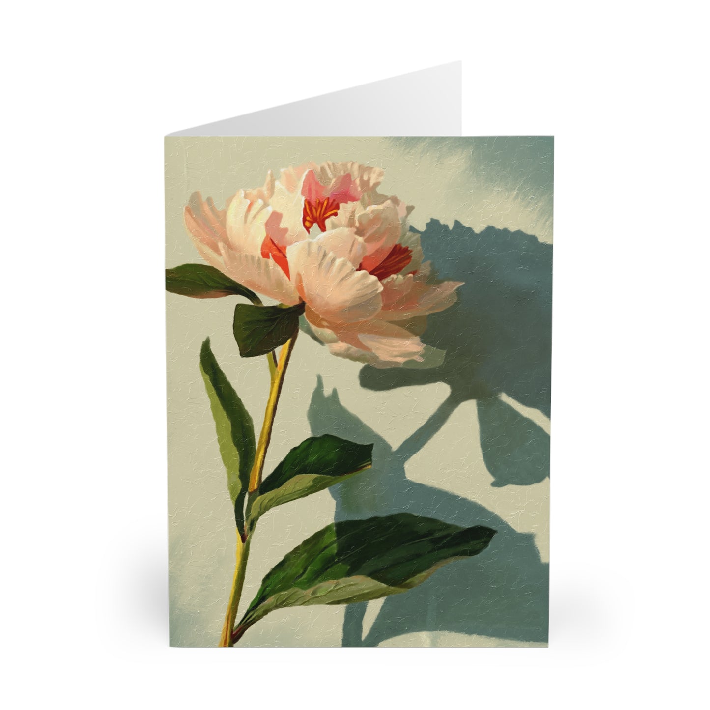 "Warm Light" Greeting Cards (5 Pack)