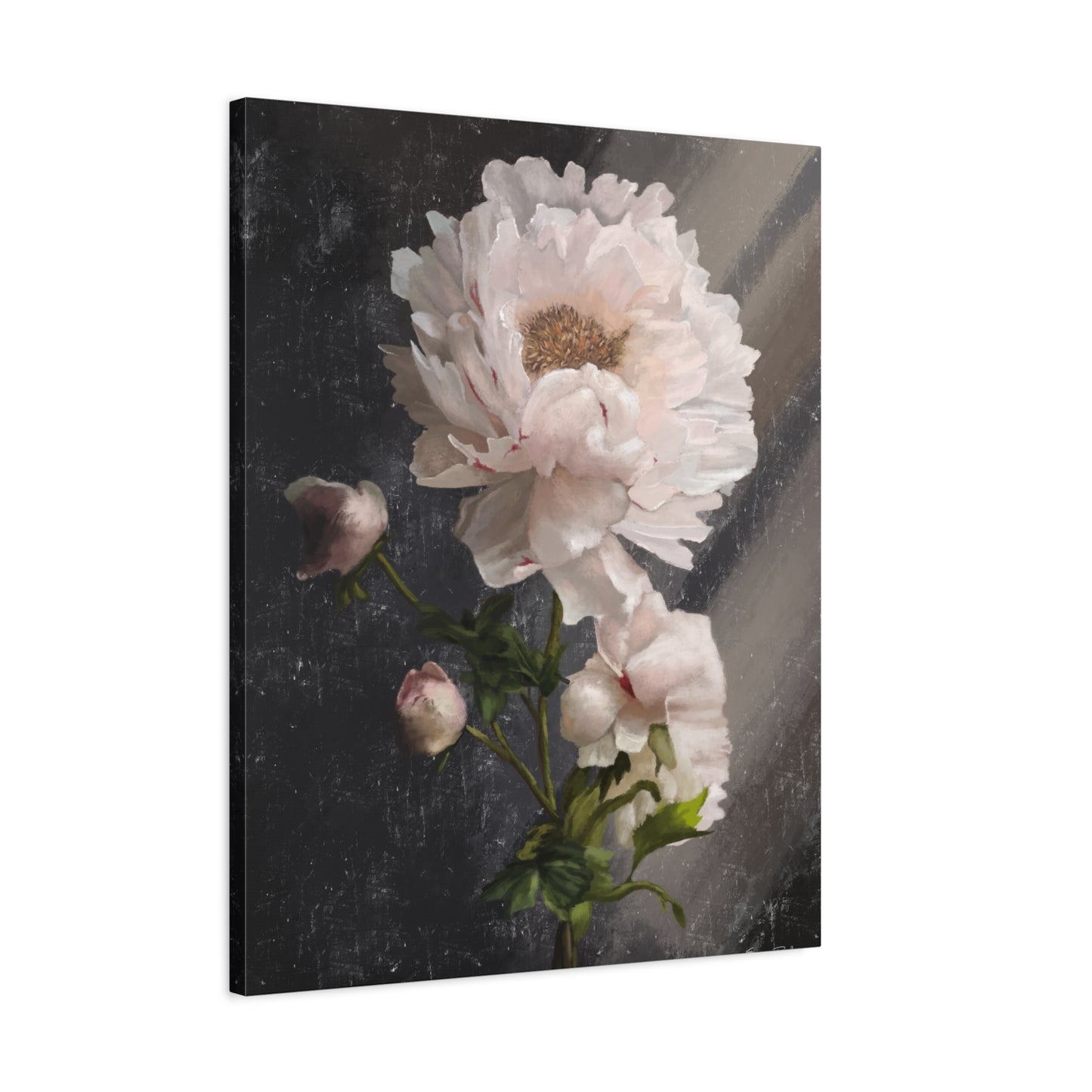 White Peony Canvas Print, Gallery Wrapped Giclee, Ready to Hang, Wall Art