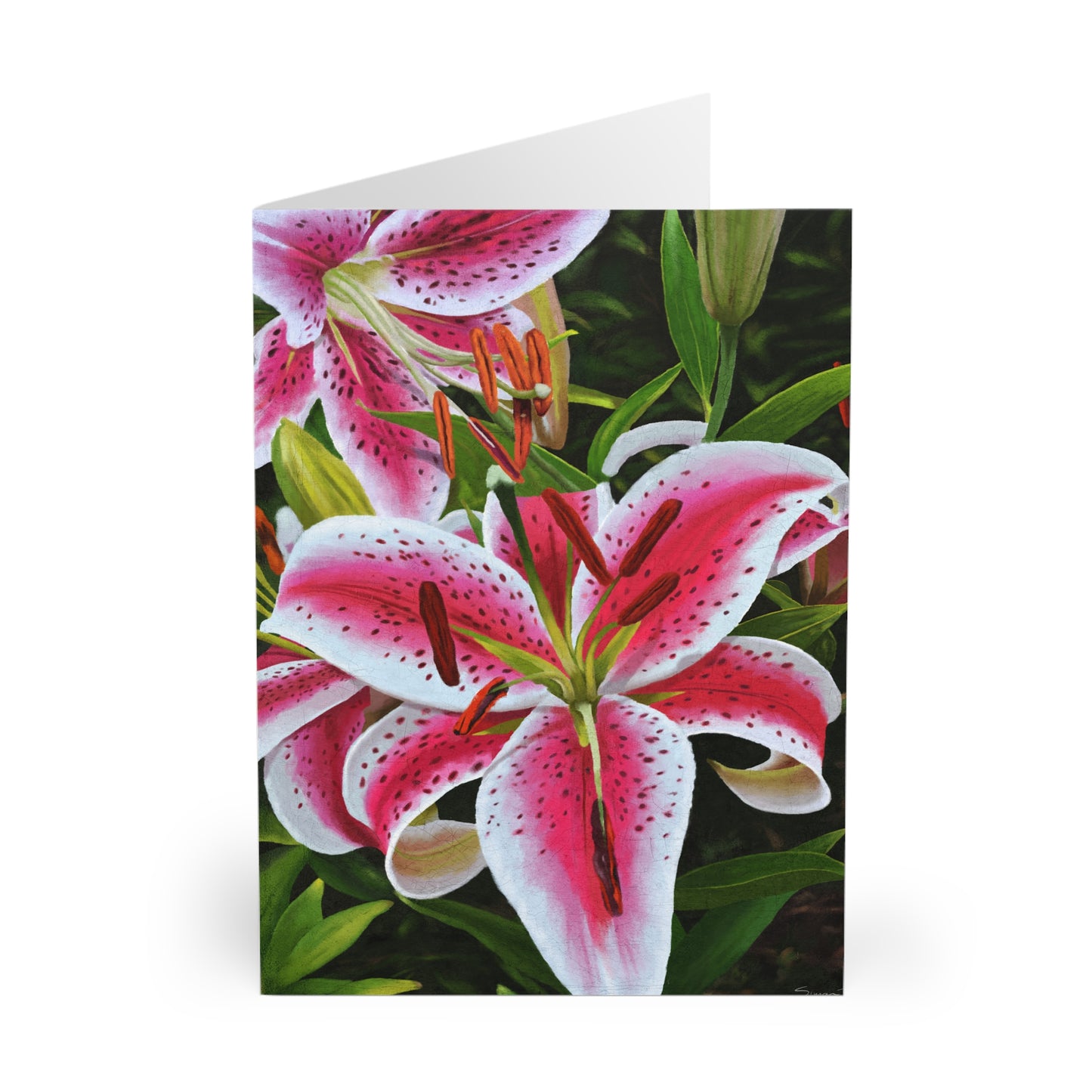 "Tiger Lillys" Greeting Cards (5 Pack)