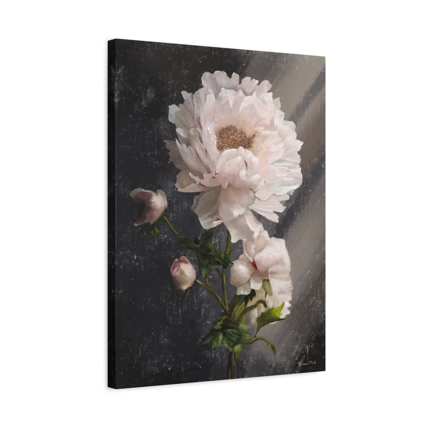 White Peony Canvas Print, Gallery Wrapped Giclee, Ready to Hang, Wall Art