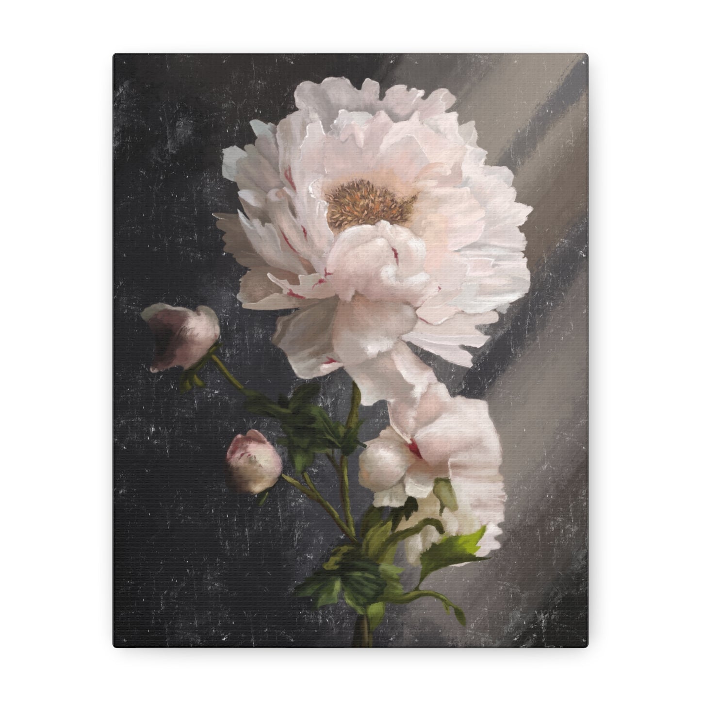 White Peony Canvas Print, Gallery Wrapped Giclee, Ready to Hang, Wall Art