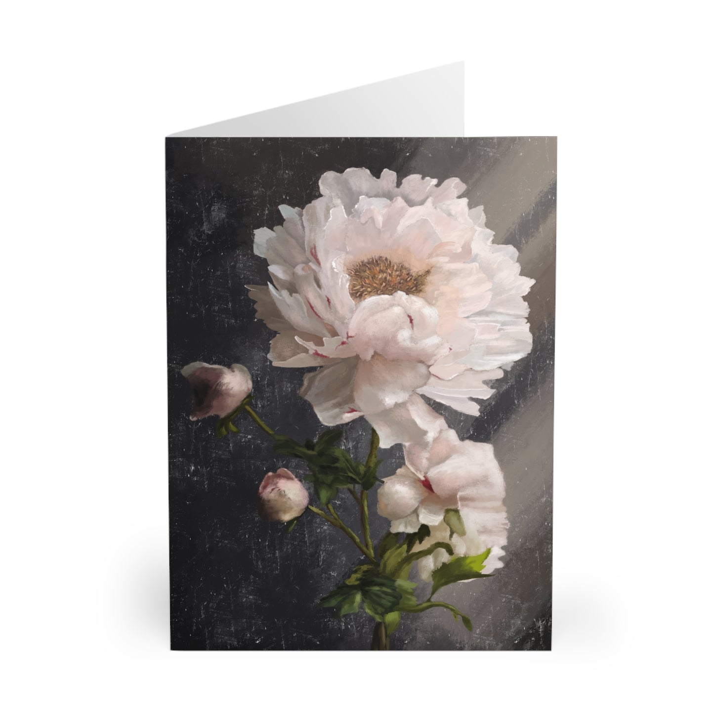 "White Peony" Greeting Cards (5 Pack)