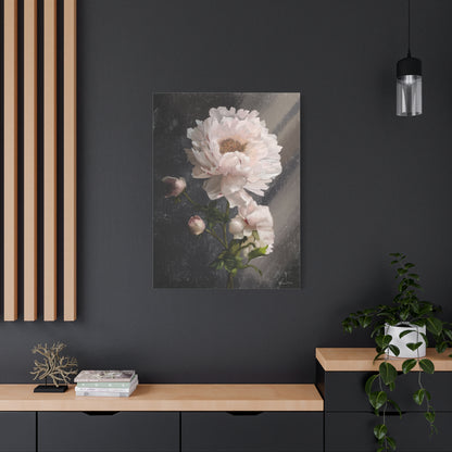 White Peony Canvas Print, Gallery Wrapped Giclee, Ready to Hang, Wall Art