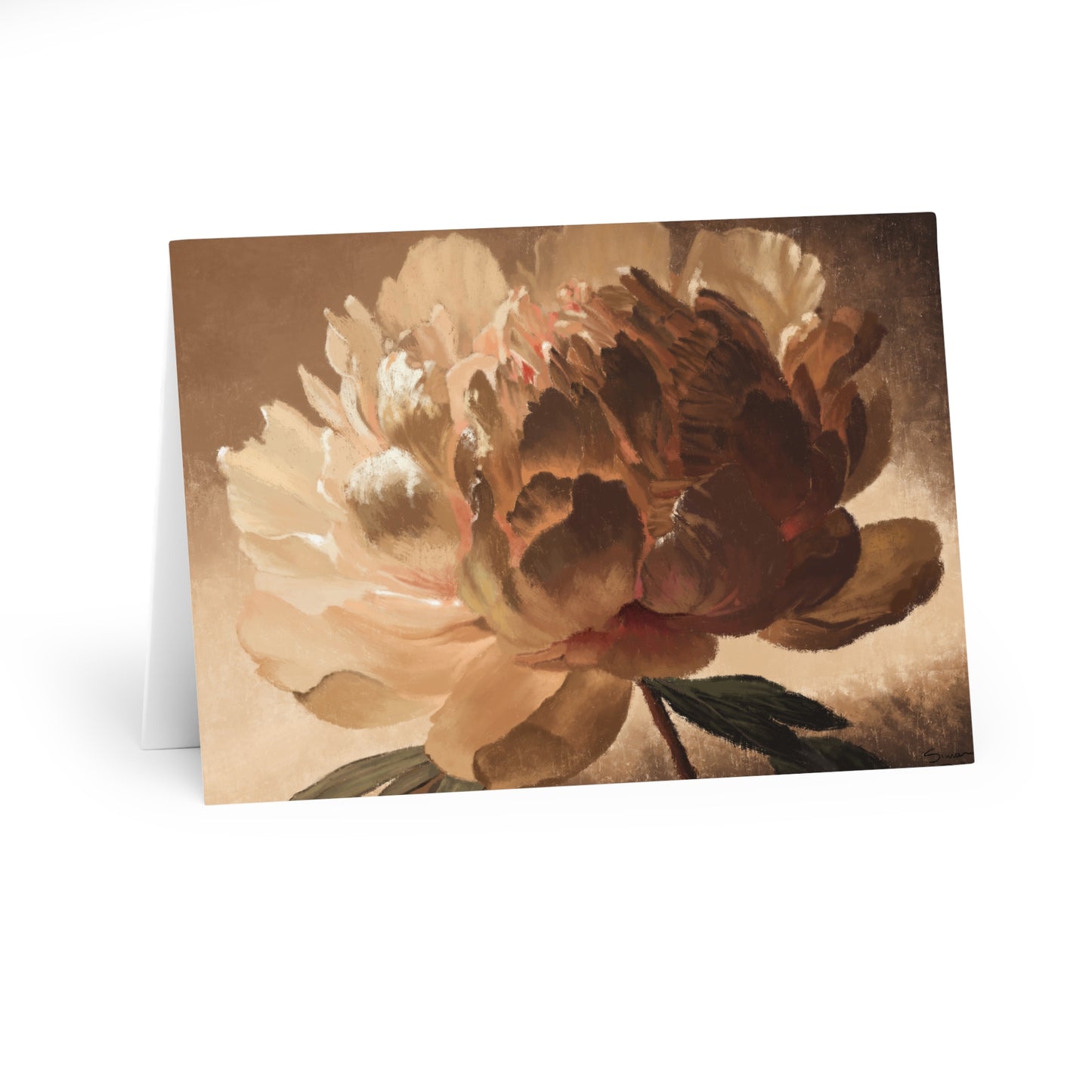 "Petals" Greeting Cards (5 Pack)